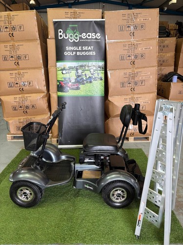 Used golf buggy lithium - golf,