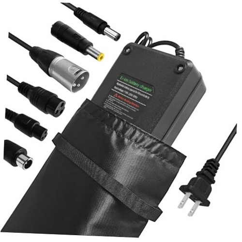 Charger for golf - charger, cart