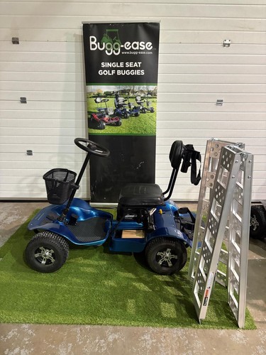 Used golf buggy lithium - used,