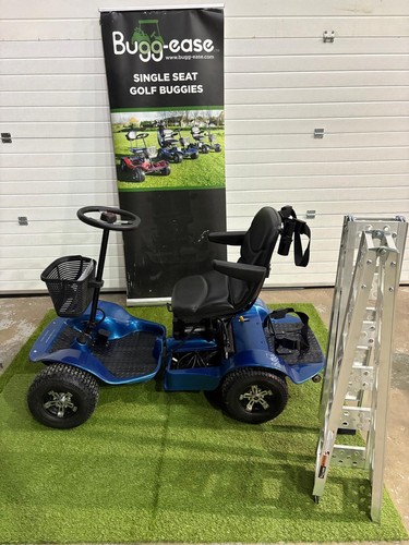 Used golf buggy - used,